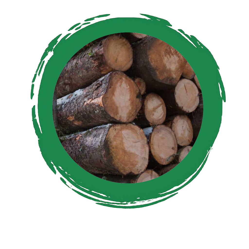 Douglas Fir Green Posts and Logs Not-Peeled